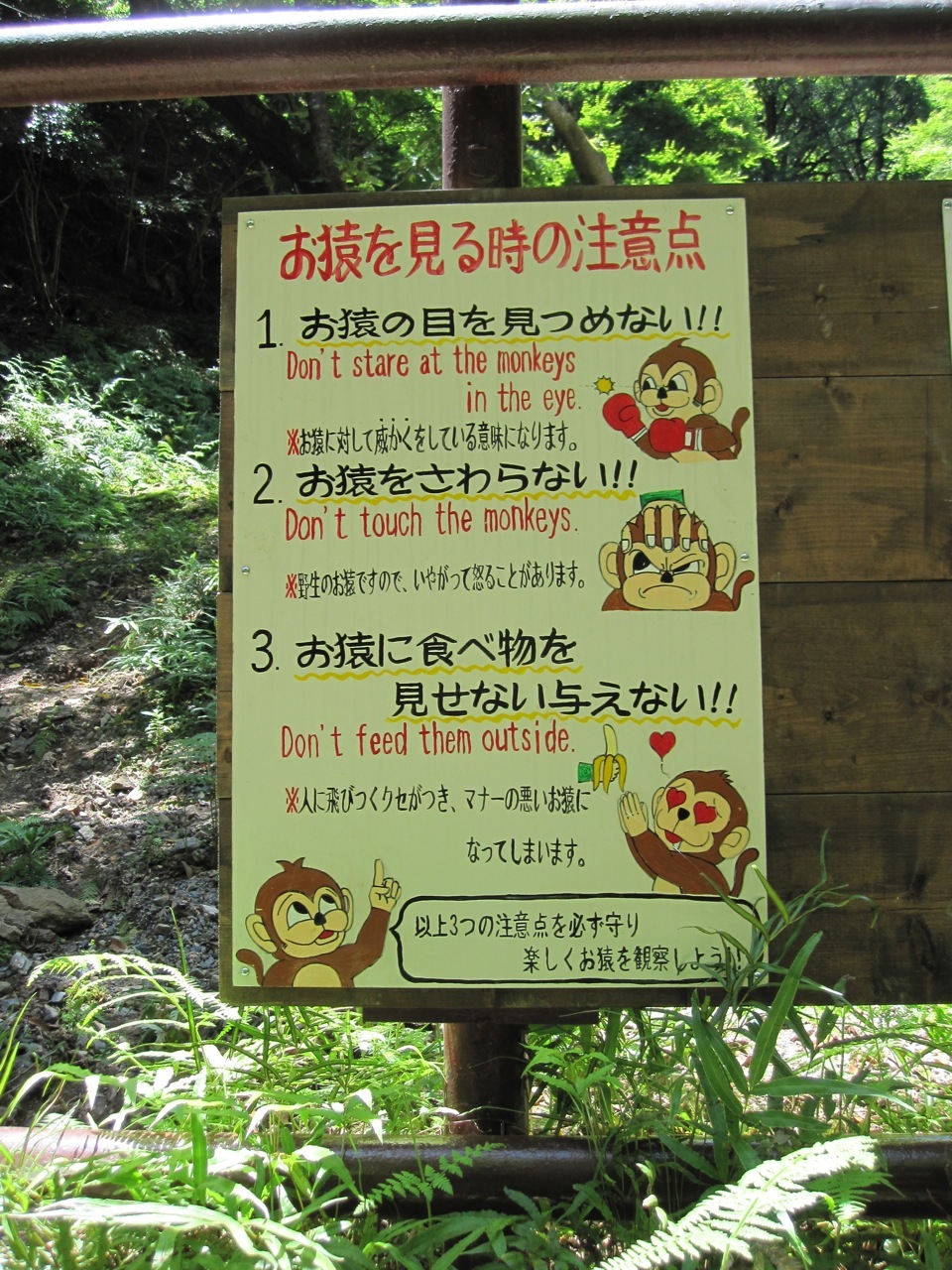 Arashiyama-Monkeys-05-1.jpg
