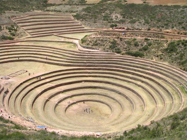 inca crop circles