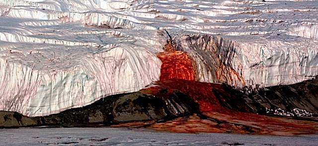 bleeding glacier antarctica