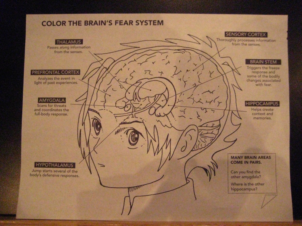 Fear Brain