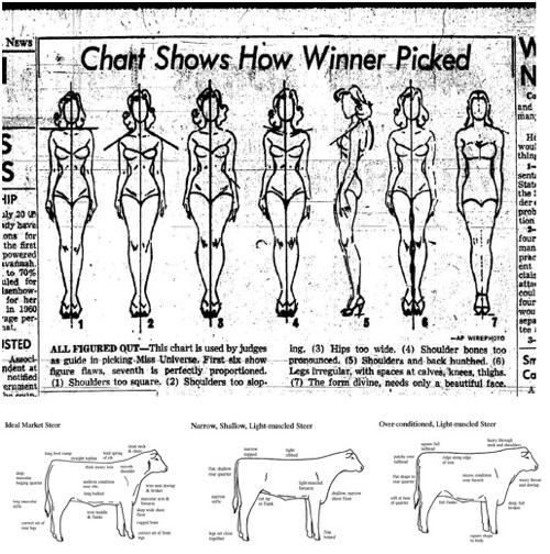 Women+body+image+chart