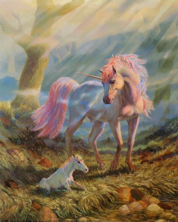 unicorn pictures copy