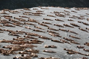  Fileadmin User Upload Gallery Tunick-Greenpeace-Installation Singles  Mg 7501