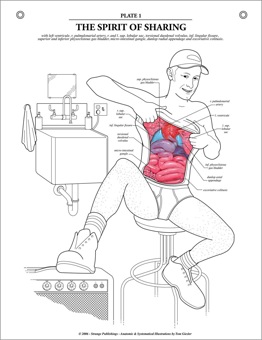  Full Myanatomy Plate 1 12