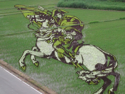  Images Rice Art 2009 4