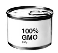 Gmo