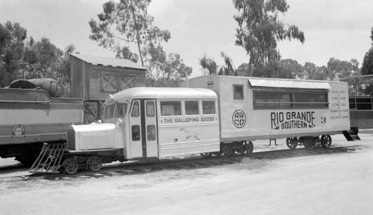 Hgoosetrain