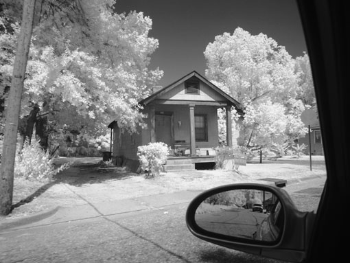 Infra-red photo - 2