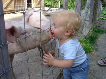 [Image: pig-kisserwegweg.jpg]