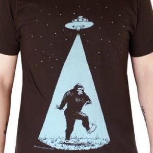 Media Catalog Product Cache 1 Image 9Df78Eab33525D08D6E5Fb8D27136E95 7 0 7038 Int Bigfoot Full2