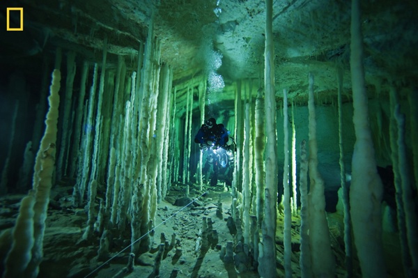 04 Bahamacaves Ngm 1427