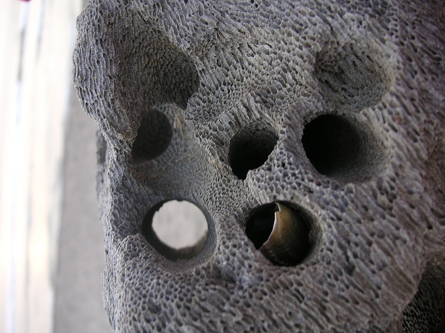 porous rock