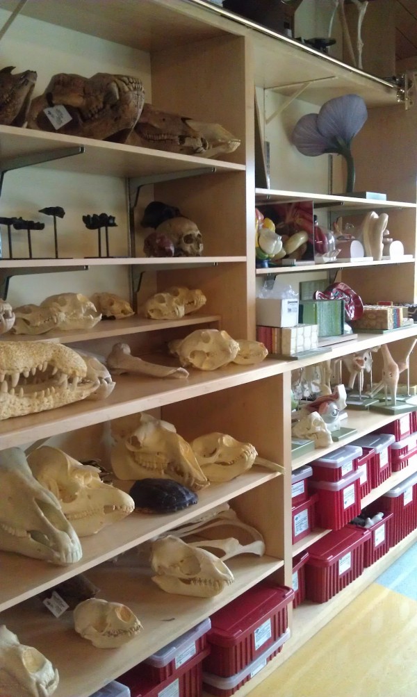 sciencehouse