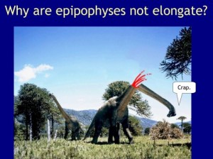 wwd-brachiosaurus-crap