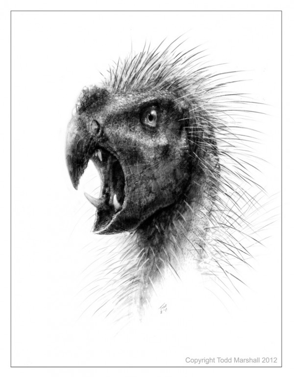 dinosaur-sketch-121003