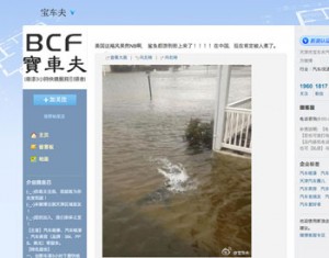 weibo-shark