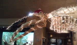 Christmaswhale
