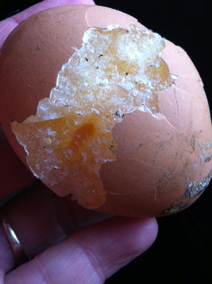 A frozen egg Boing Boing