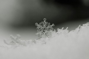8407898889_c58937a92f_b
