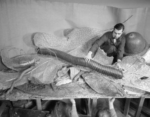 PicturingMuseum_diorama_1958.jpg PicturingMuseum diorama 1958