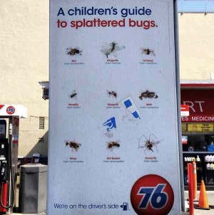 childrensssss.jpg Childrensssss