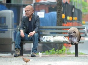 sadjamesclapper