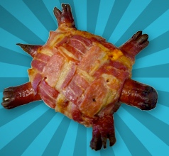 turtleburg.jpg Turtleburg