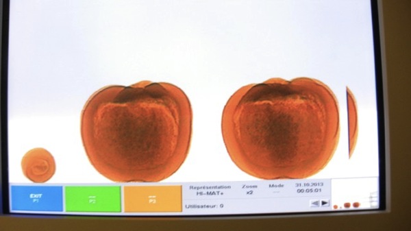 131101002527-pumpkins-cocaine-story-top.jpg 131101002527 pumpkins cocaine story top
