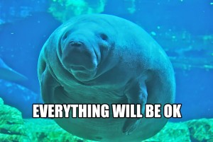 manatee1