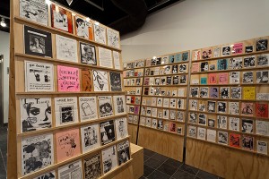7 ZineShelves AlienShe archives