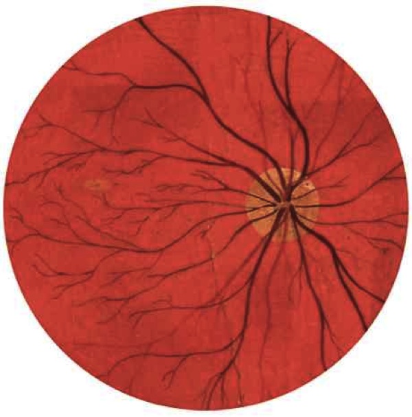 eyeball.jpg Eyeball