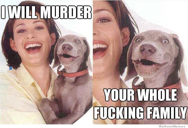 i-will-murder-your-whole-fucking-family-dog1