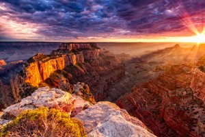 shutterstock_119302513
