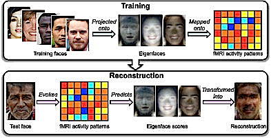 13958862212582-1.jpg 13958862212582 1