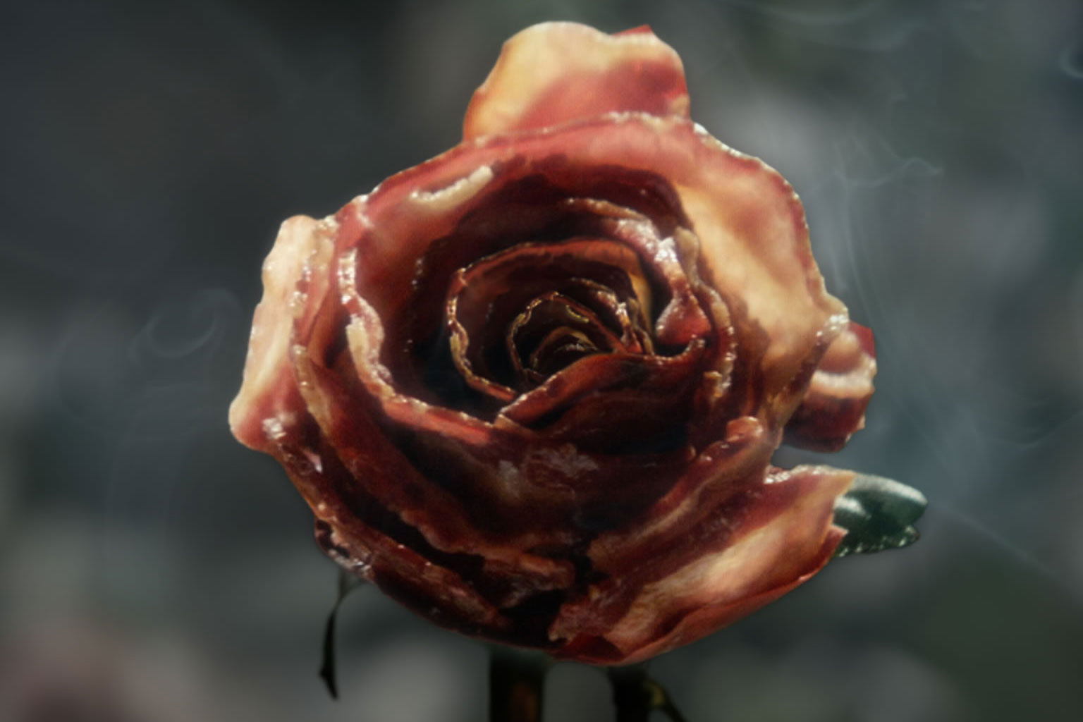 baconrose