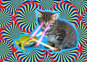 laserkitten