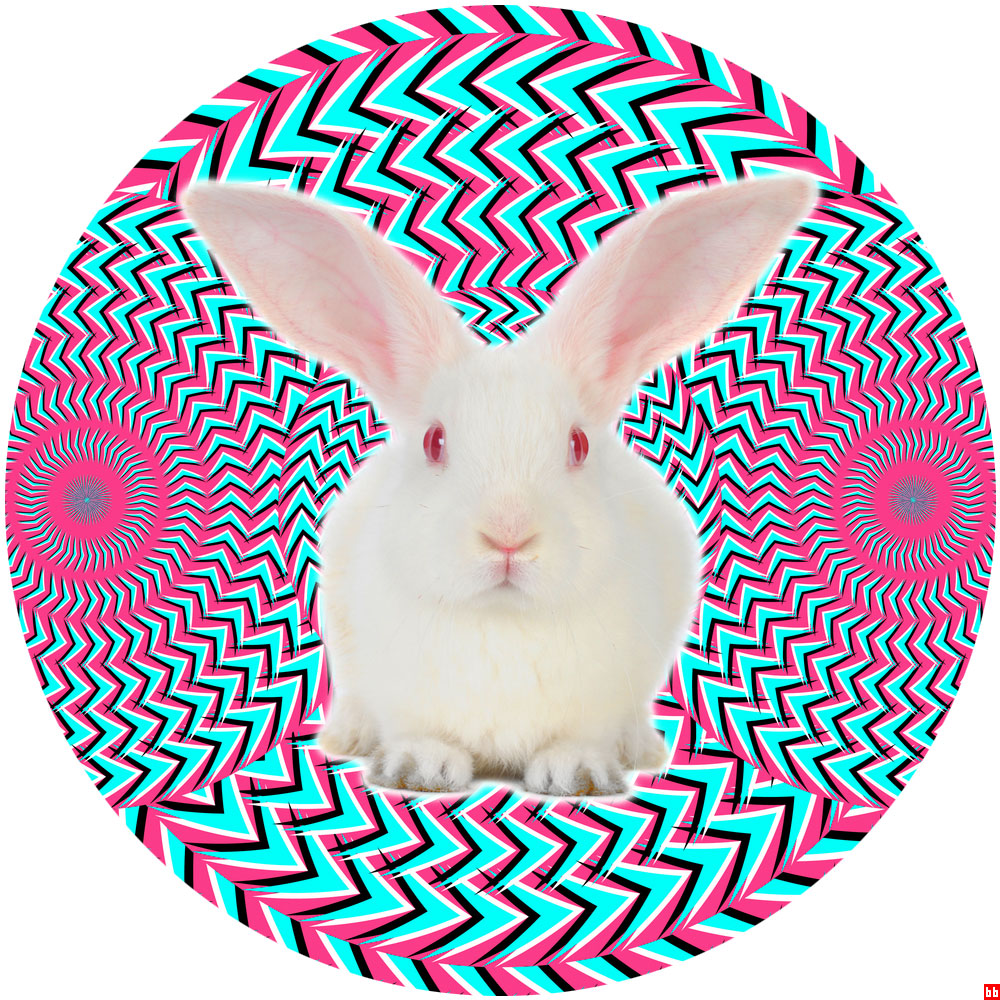 bunzz