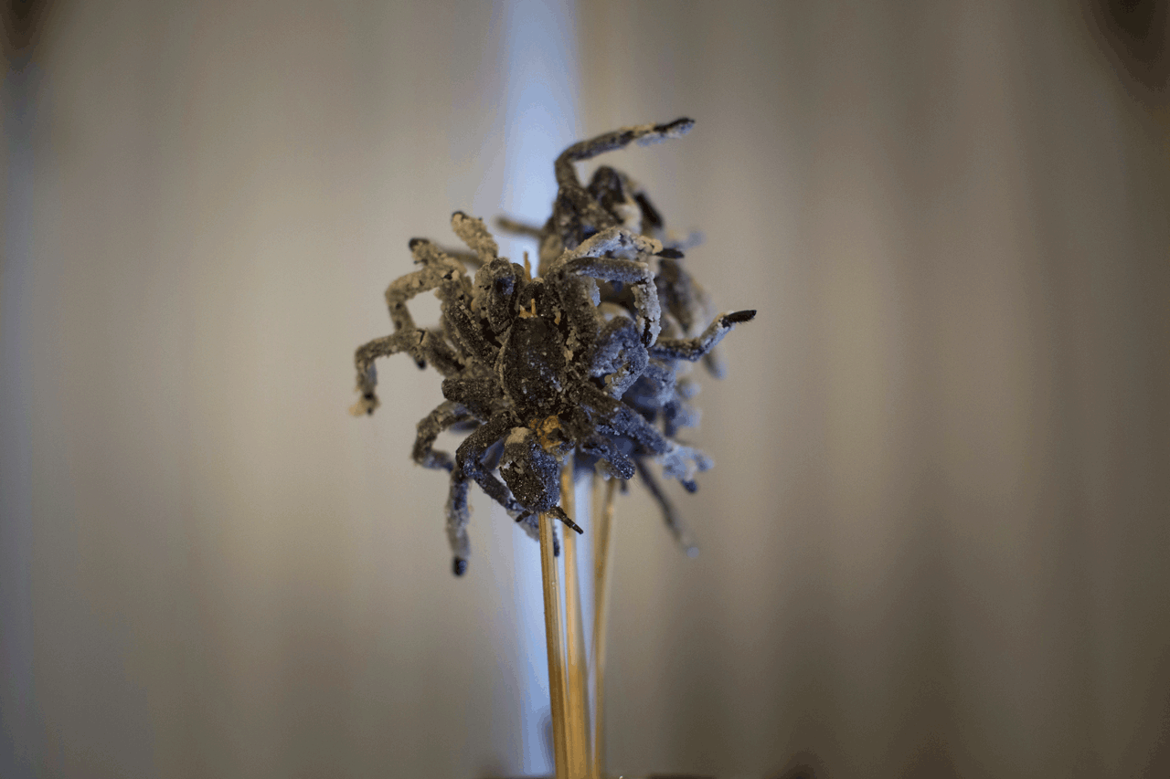 cookedtarantulasreuters