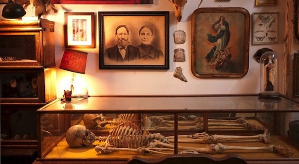 morbid_library.jpg Morbid library