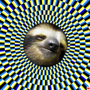 slothurday