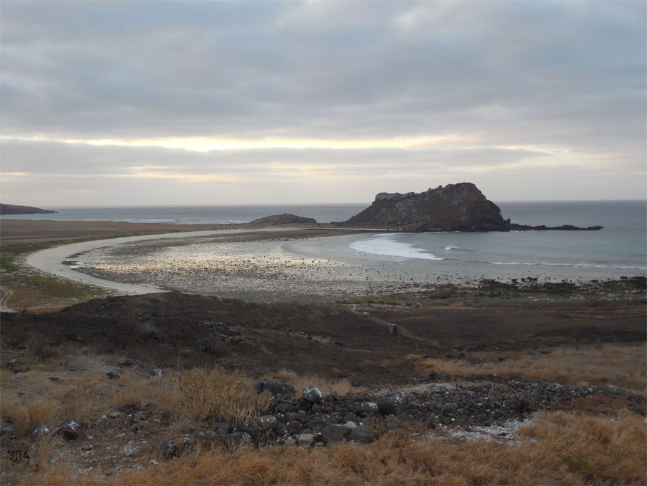 This view of Sulphur Bay at sunrise shows the area where Mulcahy retraced the steps of naturalist William Beebe nearly eighty years after his expedition to Clarion, and found evidence that the nocturnal Clarion Nightsnake continues to live on the island today. The Clarion Nightsnake, which was initially discovered in the first half of the 19th century and then struck from the scientific record, was rediscovered and declared a new species by National Museum of Natural History researcher Daniel Mulcahy and a team of Mexican scientists led by ecologist Juan Martínez-Gómez in May 2014. (Photo courtesy of Daniel Mulcahy)