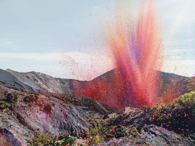 nick-meek-photographs-flower-petals-in-HD-designboom-02