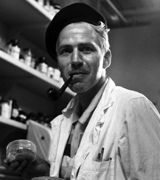 shulgin_alexander_beret_pipe__i2010e0002_disp.jpg Shulgin alexander beret pipe i2010e0002 disp