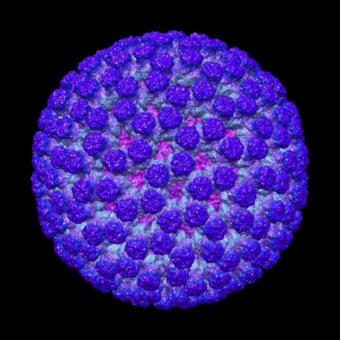 "Three-dimensional map of a rotavirus," National Resource for Automated Molecular Microscopy, The Scripps Research Institute, La Jolla, Calif.