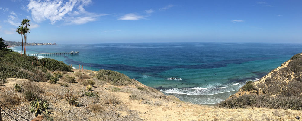 A giant anchovy school forms a dark band off Scripps on July 8, 2014. Credit: Douglas Alden.