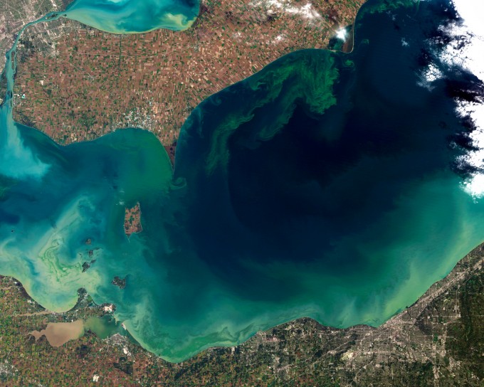 A massive algae bloom in Lake Erie in October, 2011 is seen in this Landsat-5 satellite image. The green scum is mostly Microcystis, which produces a liver toxin and can cause skin irritation. (Image: NASA)