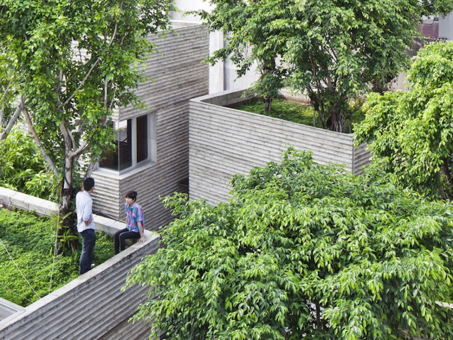 House_For_Trees_07