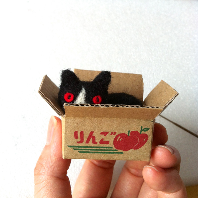 "Cat in a Cardboard Box" by Hine Boing Boing