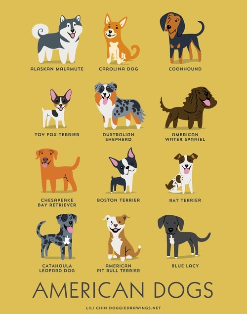 Dogs of the world, illustrated and grouped by geography Boing Boing