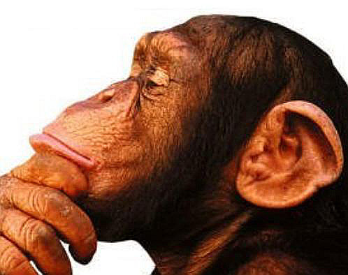 Lateral Thinking Puzzles